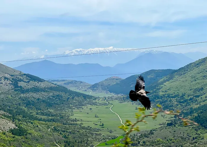Palazzo Cappa-affitti Brevi Italia 3*